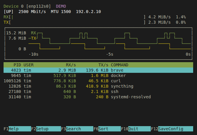 nwtop monitor in DEMO mode with traffic graphs and process rows